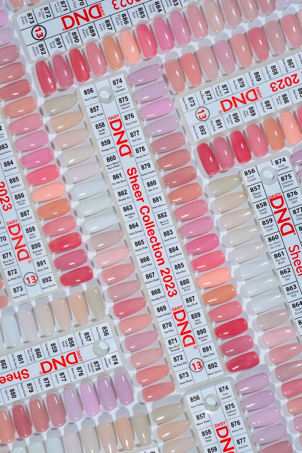 DND Sheer Collection - 36 Set