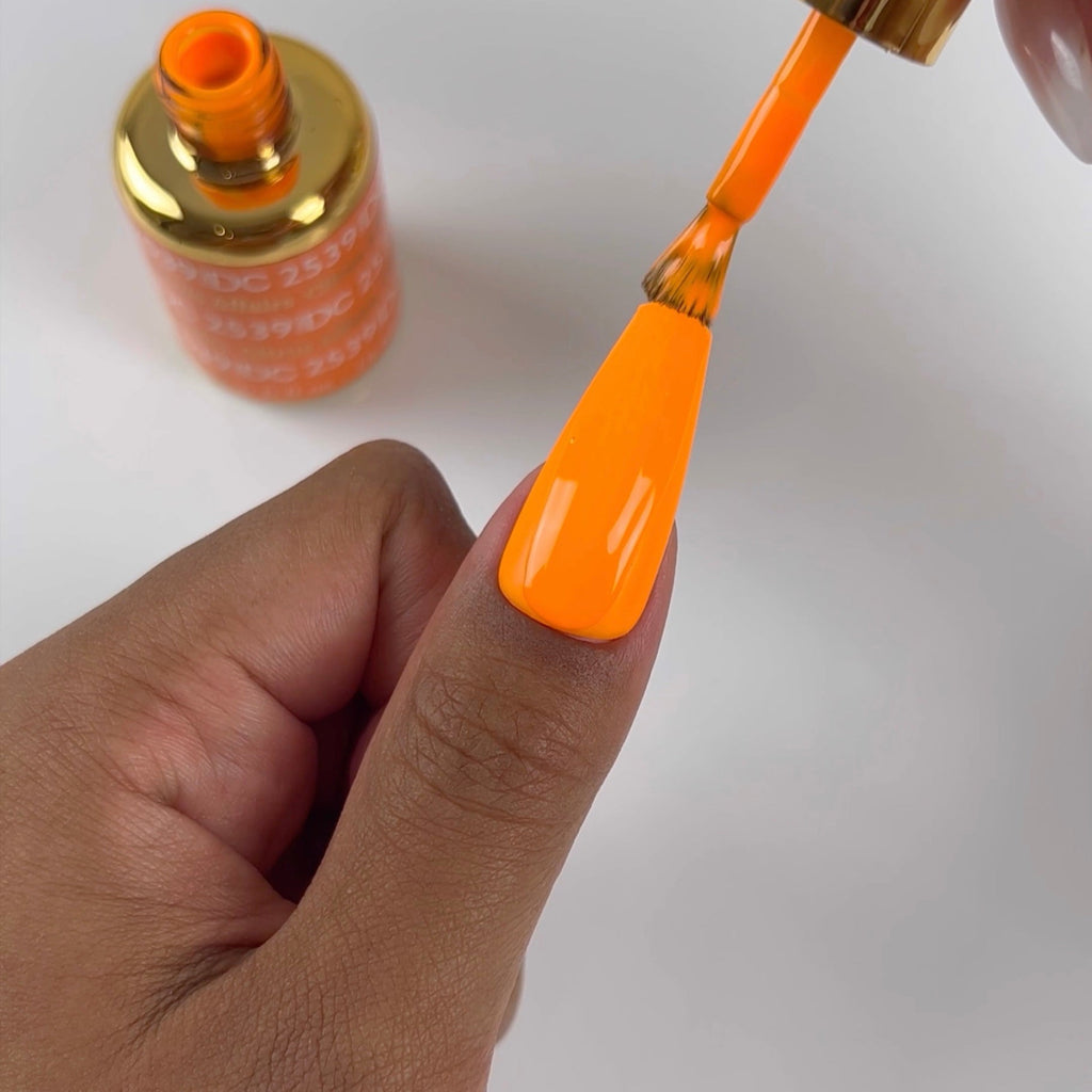 Free Spirit Collection - 36 Set