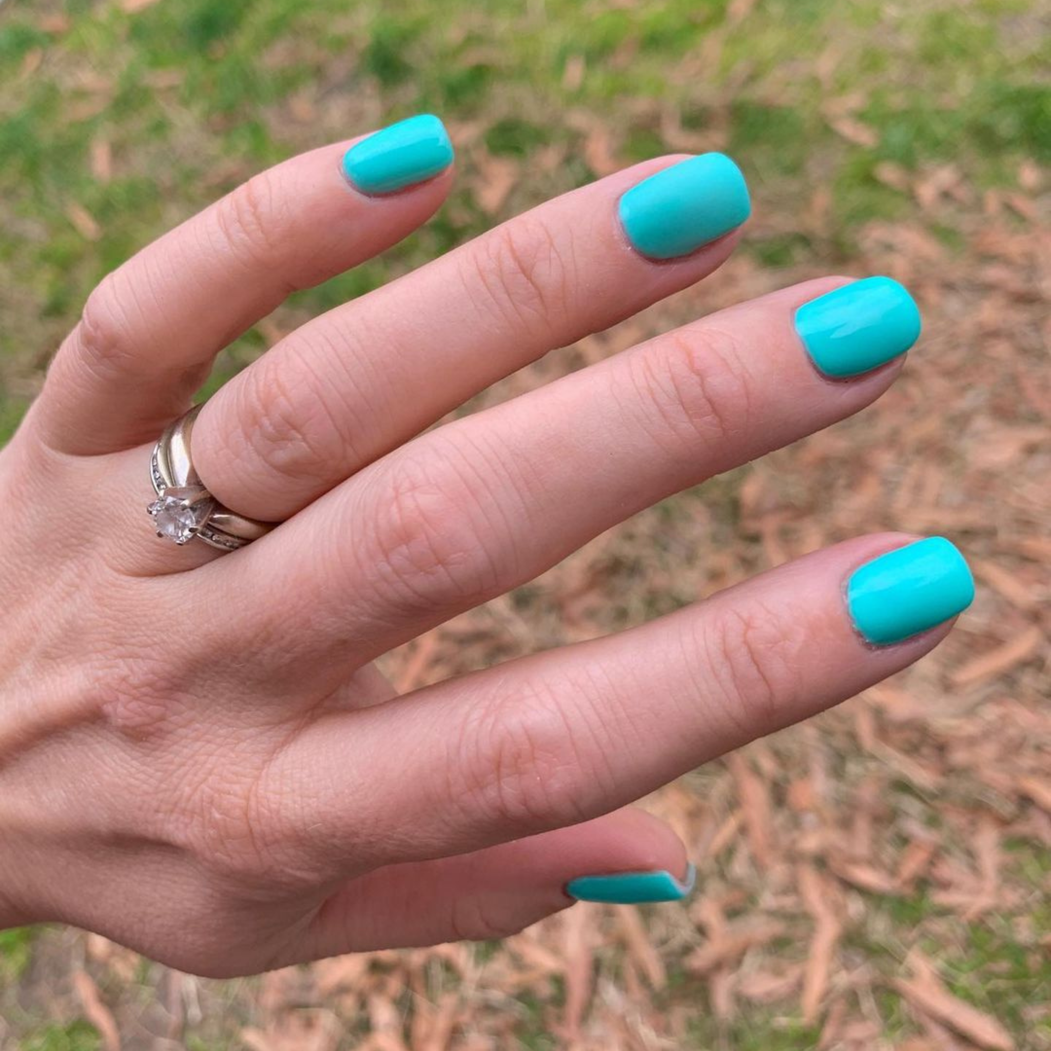 Caribbean Island #032