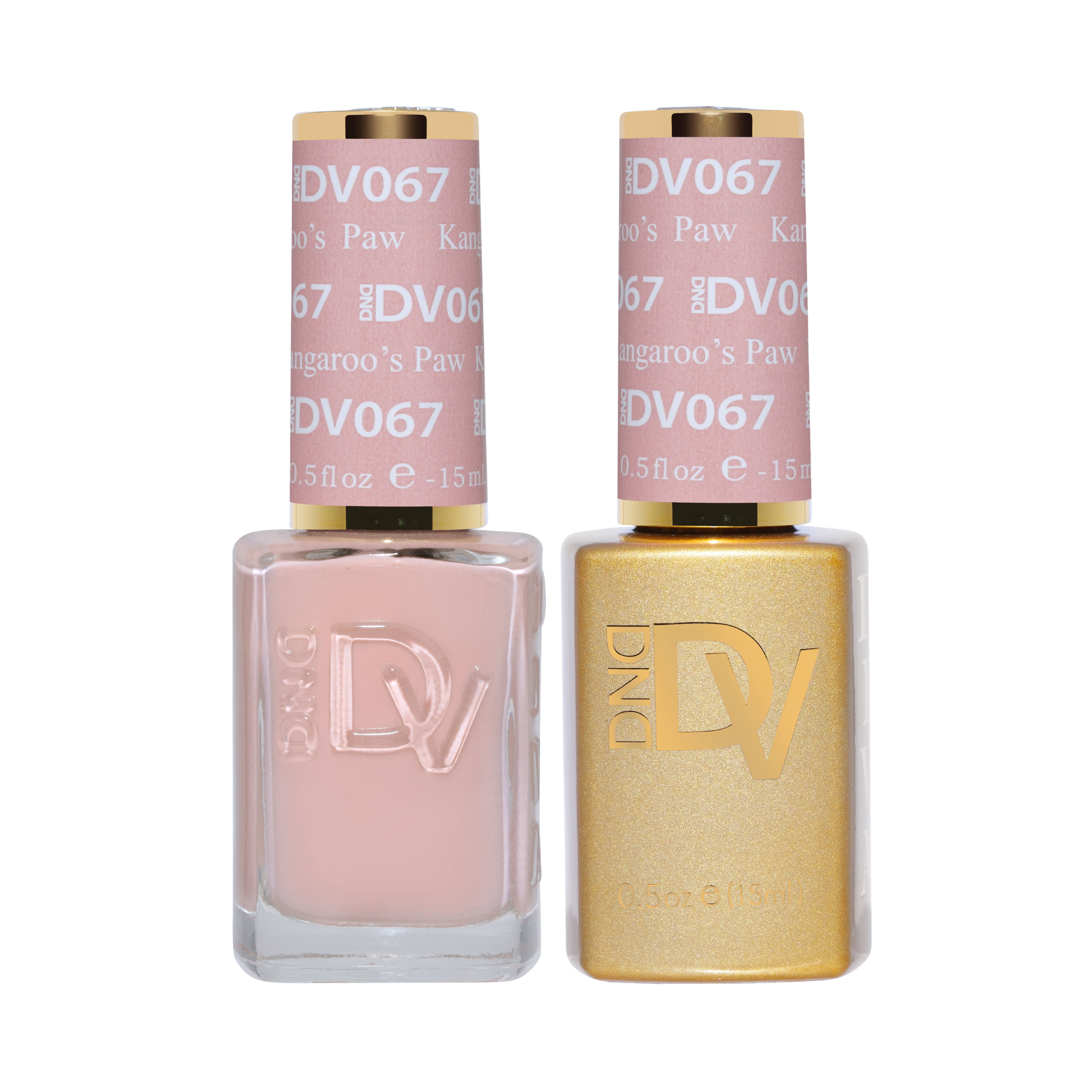 Kangaroo’s Paw DIVA #067