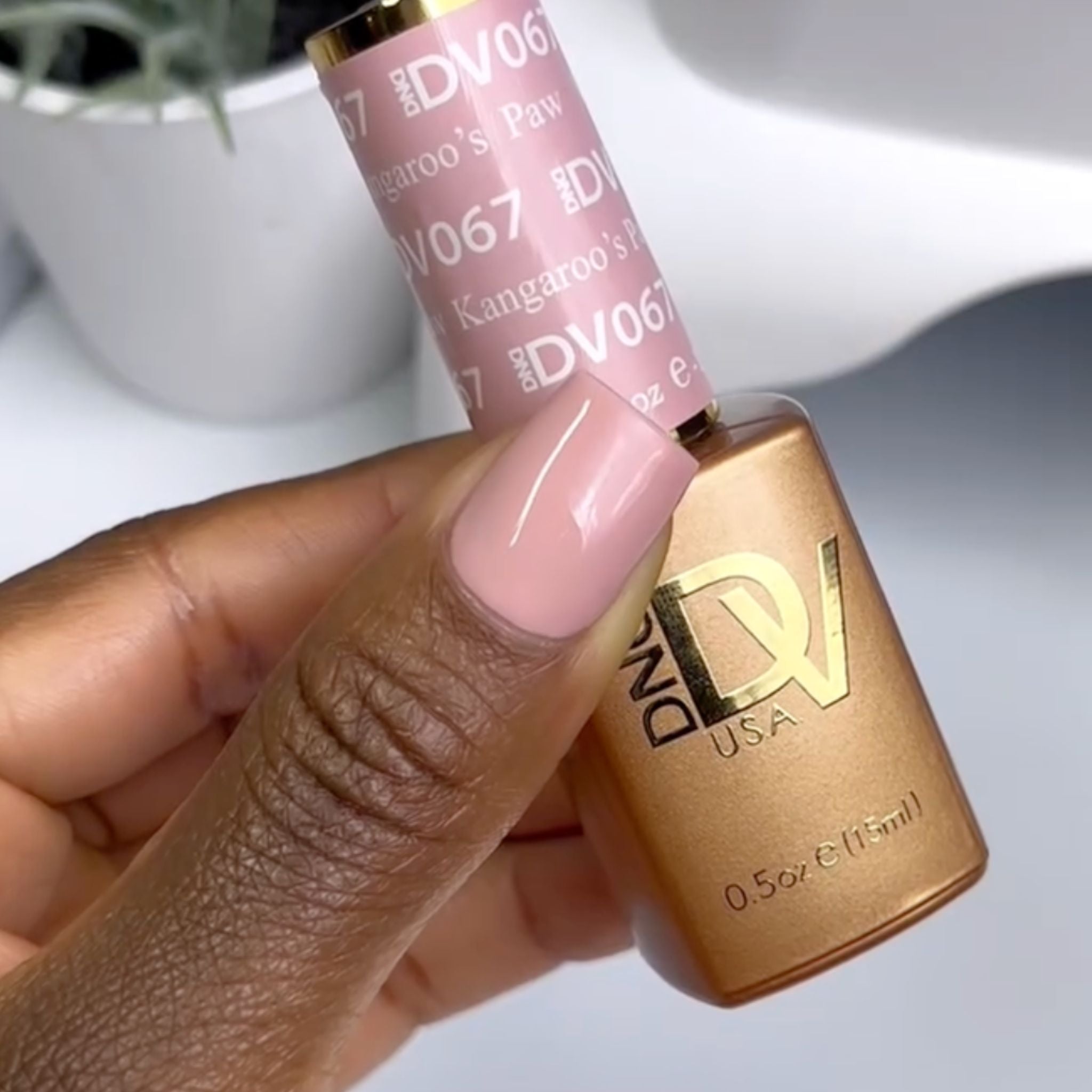 Kangaroo’s Paw DIVA #067