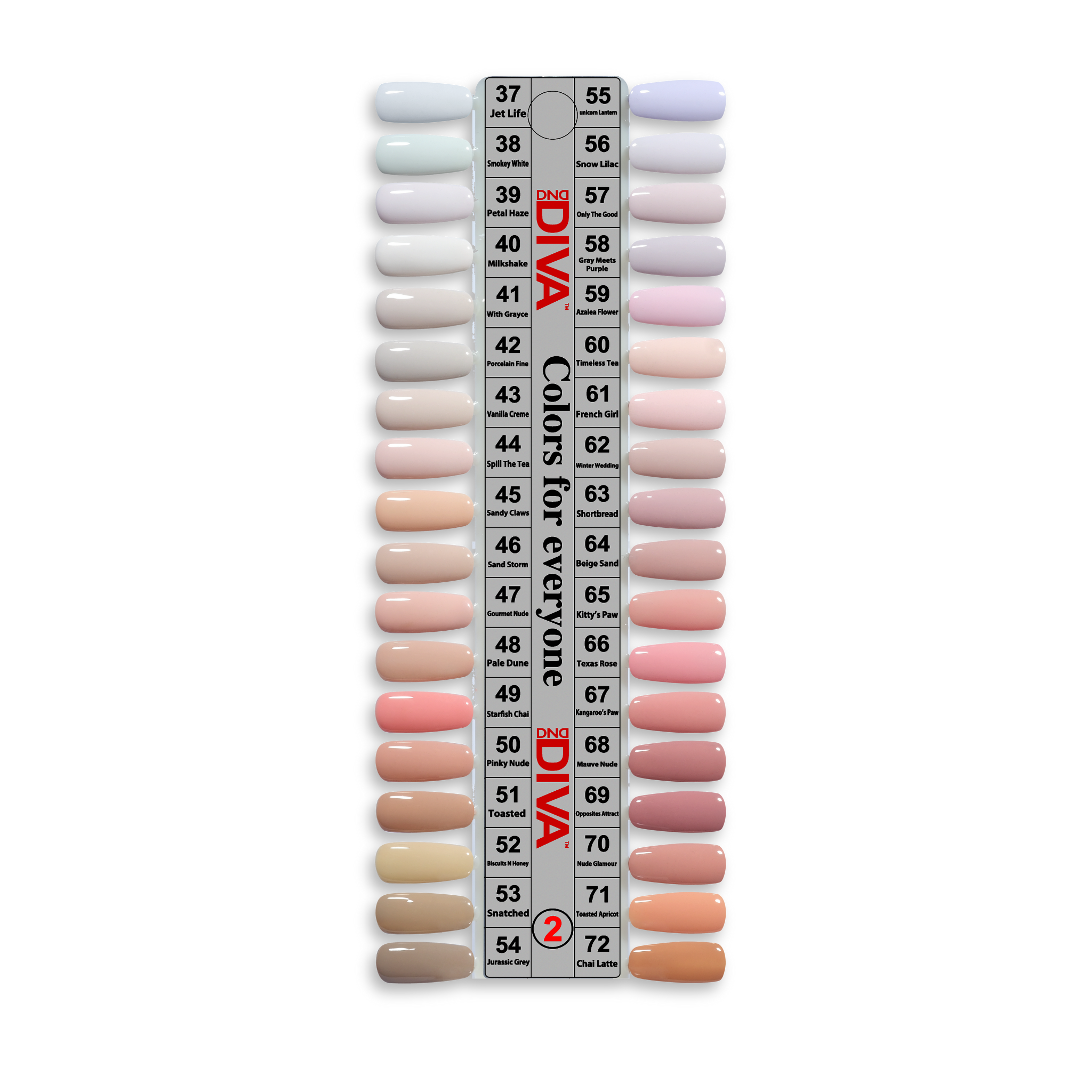 DIVA Frosted Chai Collection - 36 Set