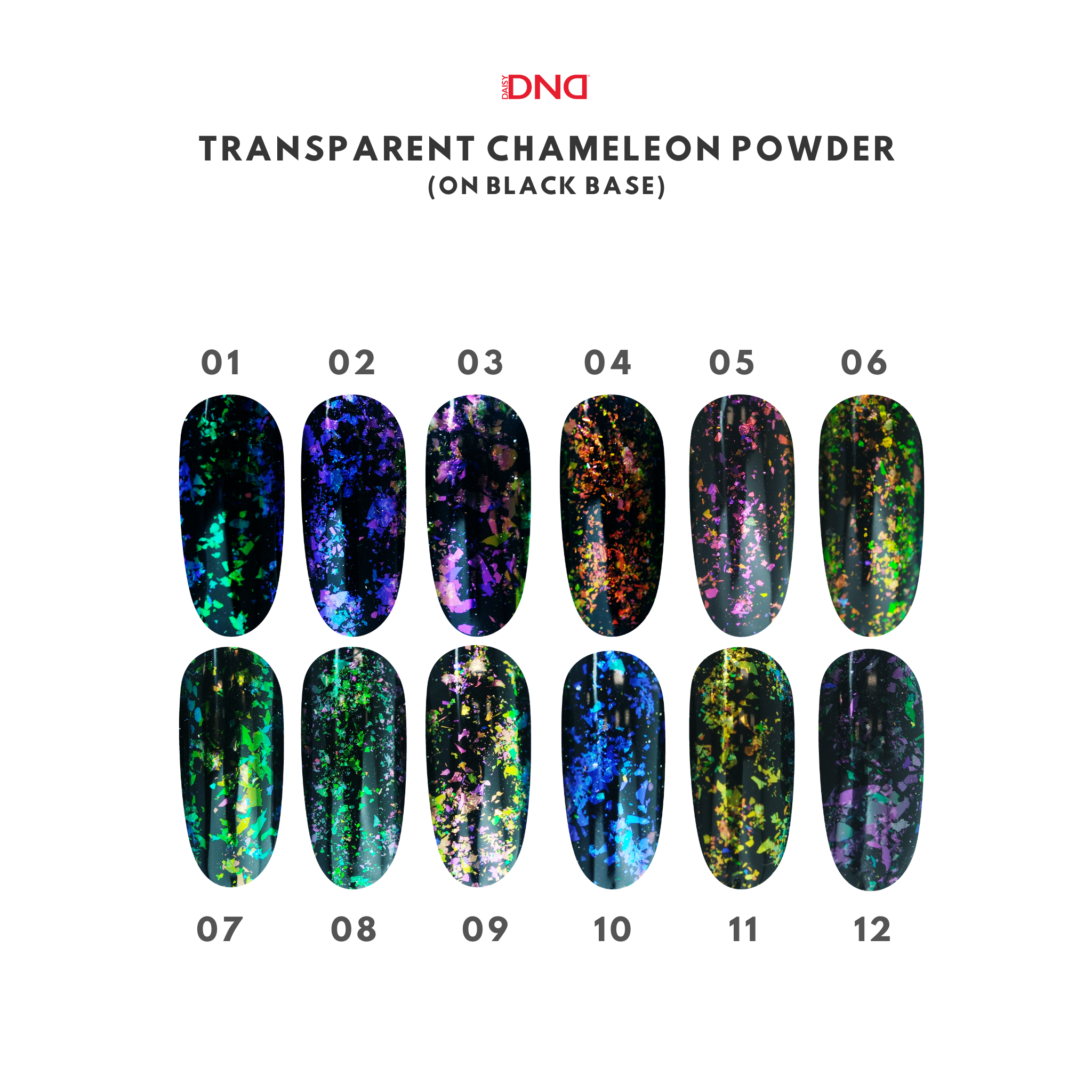 DND Transparent Chameleon Powder #1 (12 pcs.)