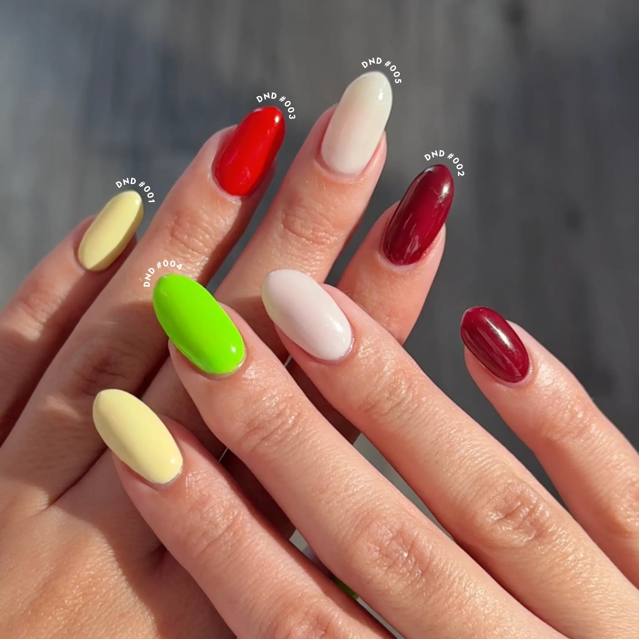 Yes Chef! Collection