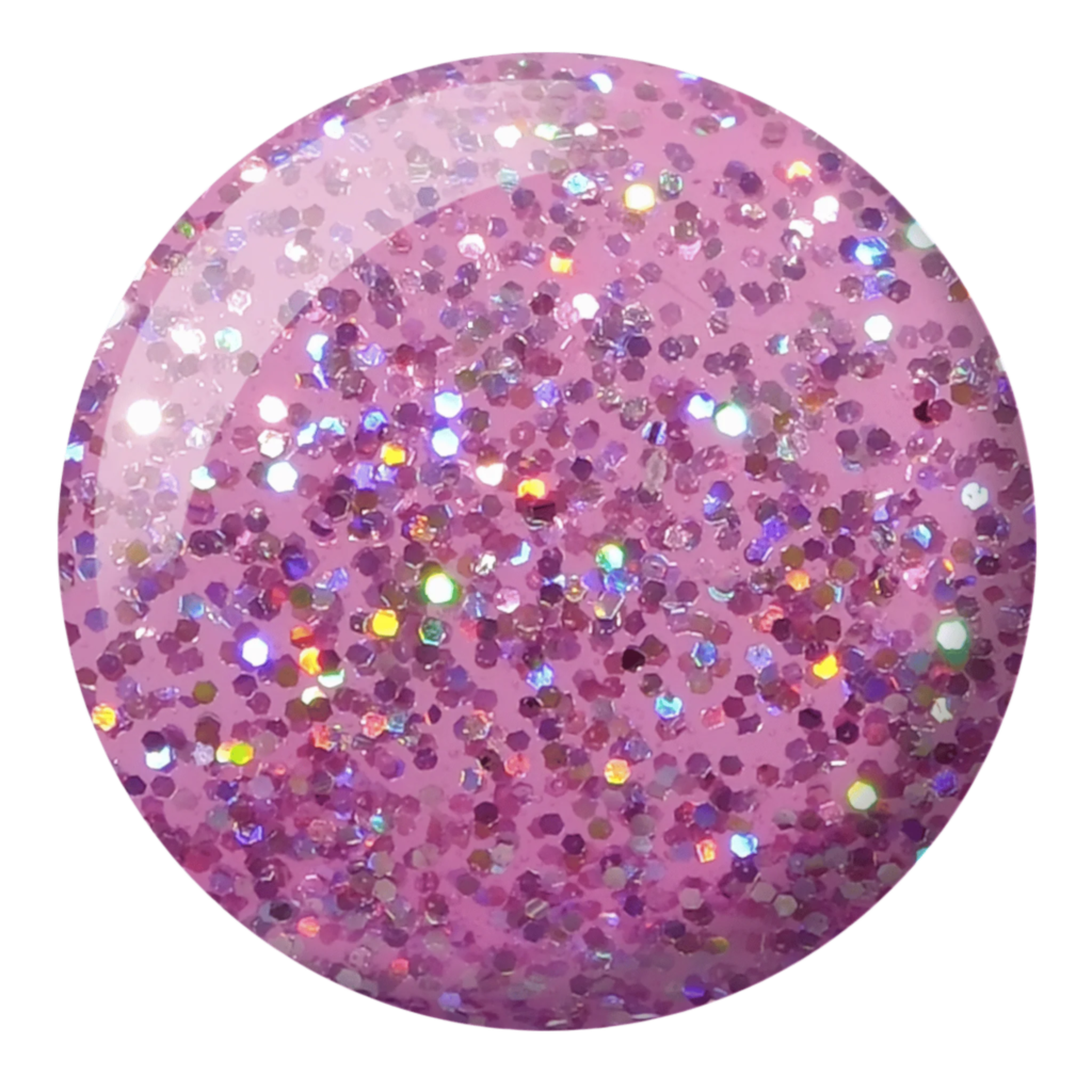 Queen Conch DIVA #008