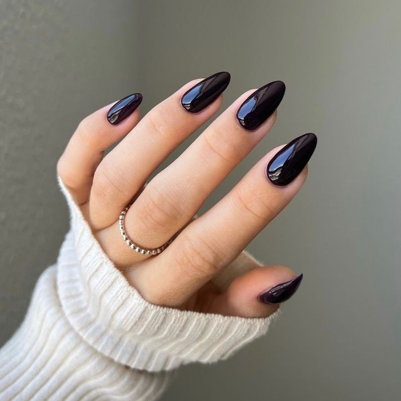 A Sultry Touch Gel Polish Starter Kit