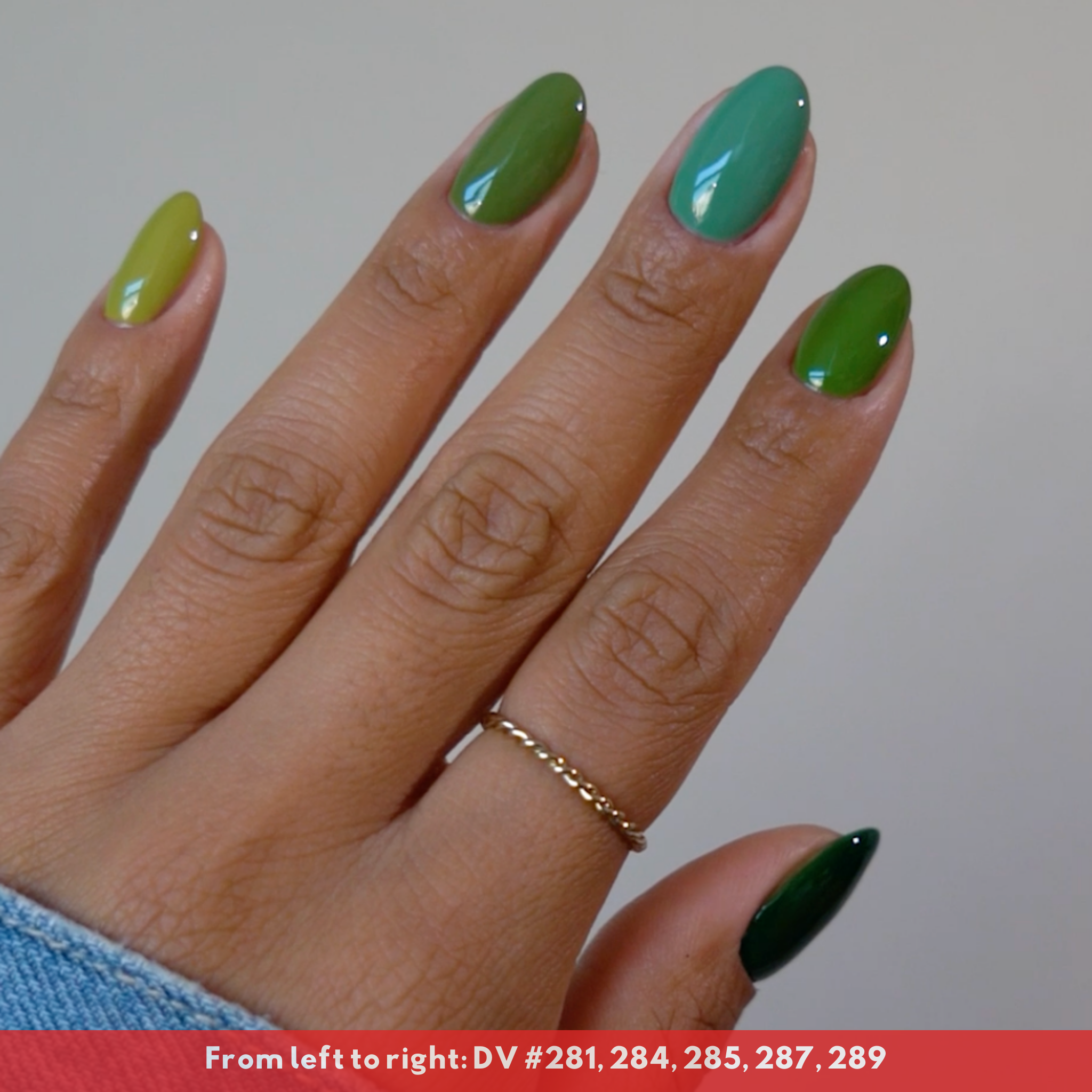 Houseplant DIVA #287