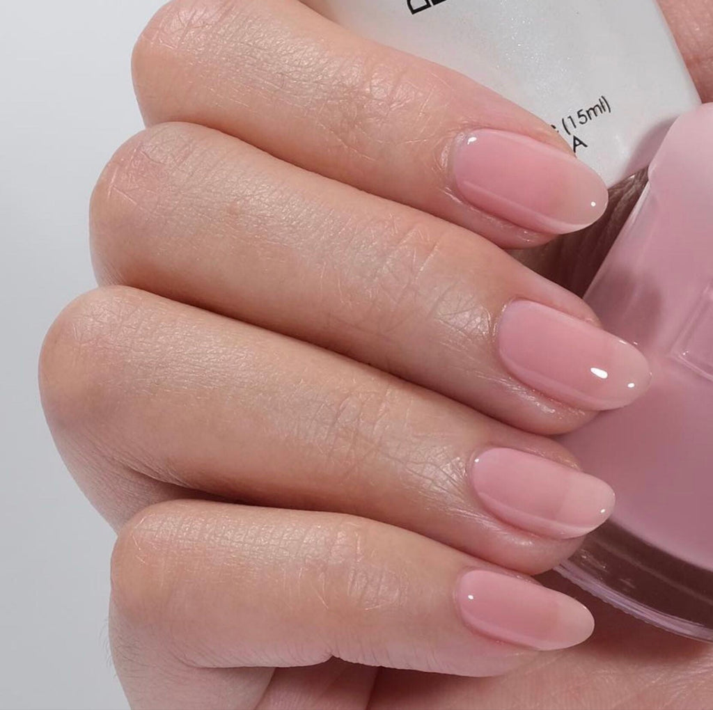 DND Sheer Collection - 36 Set