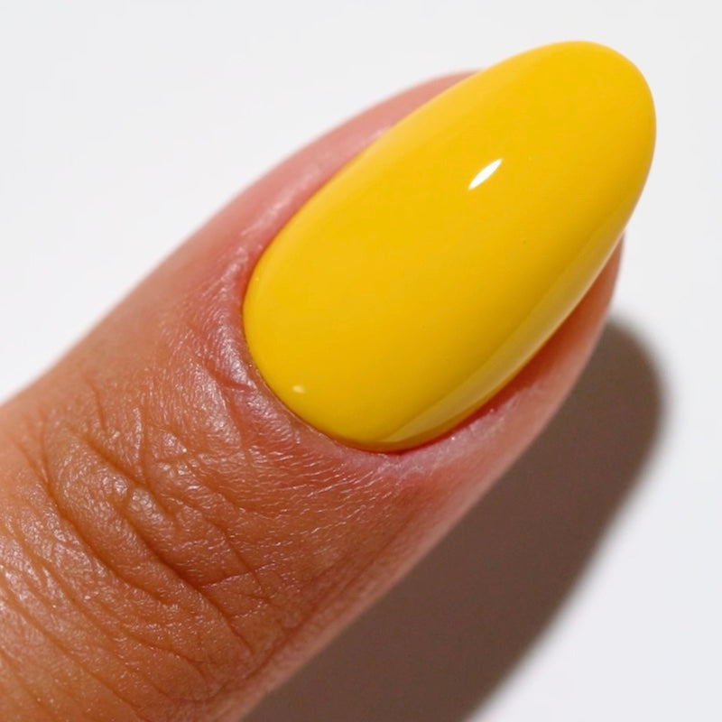 Free Spirit Collection - 36 Set