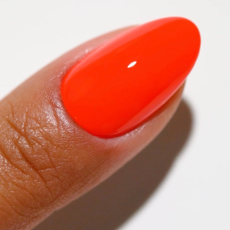 Free Spirit Collection - 36 Set