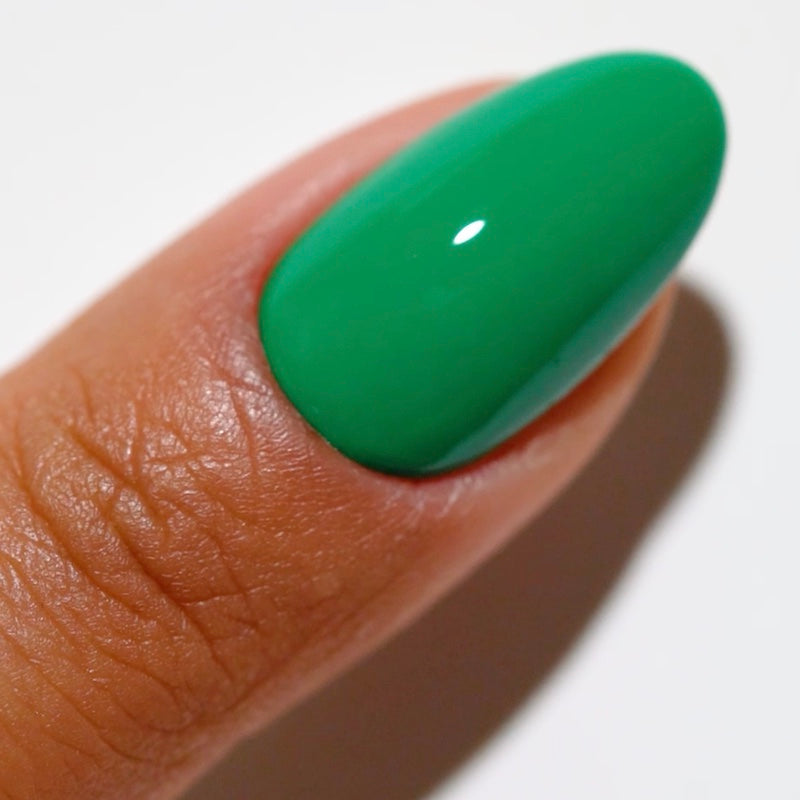 Free Spirit Collection - 36 Set